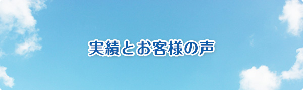 実績とお客様の声